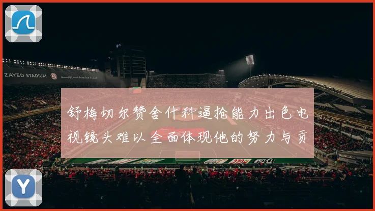 舒梅切尔赞舍什科逼抢能力出色电视镜头难以全面体现他的努力与贡献
